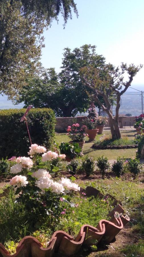 Villa Di Papiano San Baronto Εξωτερικό φωτογραφία